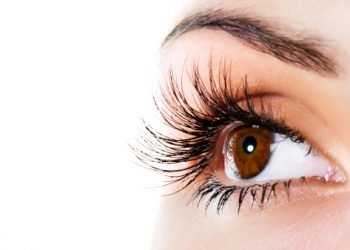 Woman brown eye with extremely long eyelashes