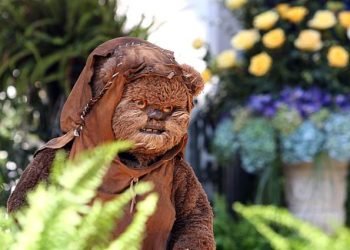 Ewok Drums