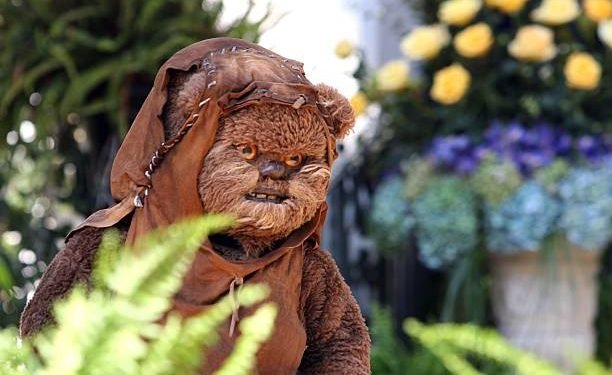 Ewok Drums