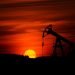 Oil resumes