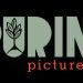 Purin Pictures