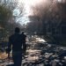 Fallout 76